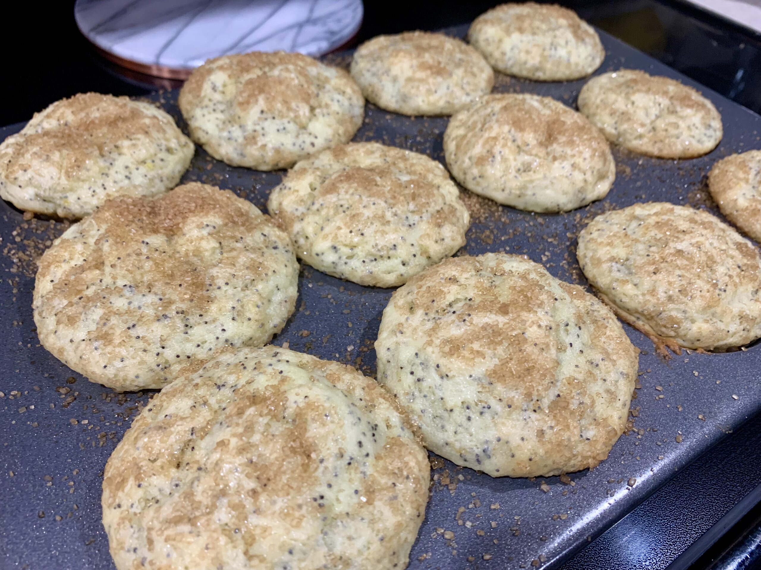 Lemon Poppyseed Muffins (Dairy Free & Gluten Free)